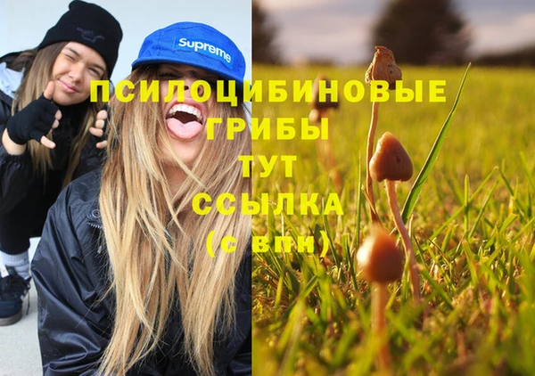 ПСИЛОЦИБИНОВЫЕ ГРИБЫ Алзамай